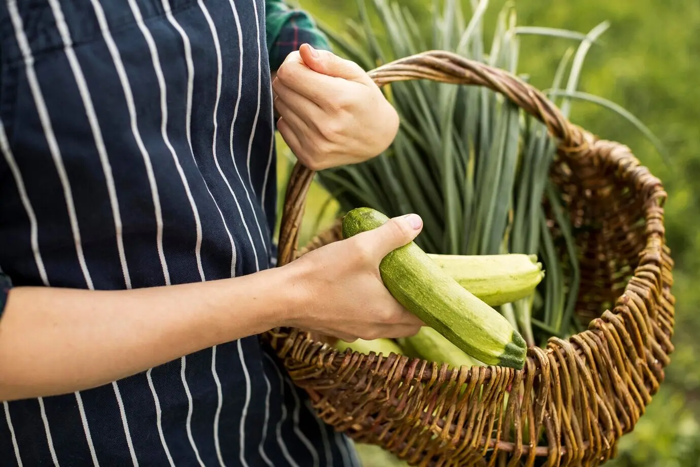 Mujer cosechando vegetales